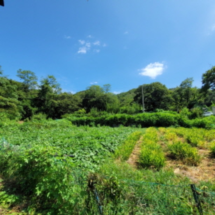 목록1 토지 전경