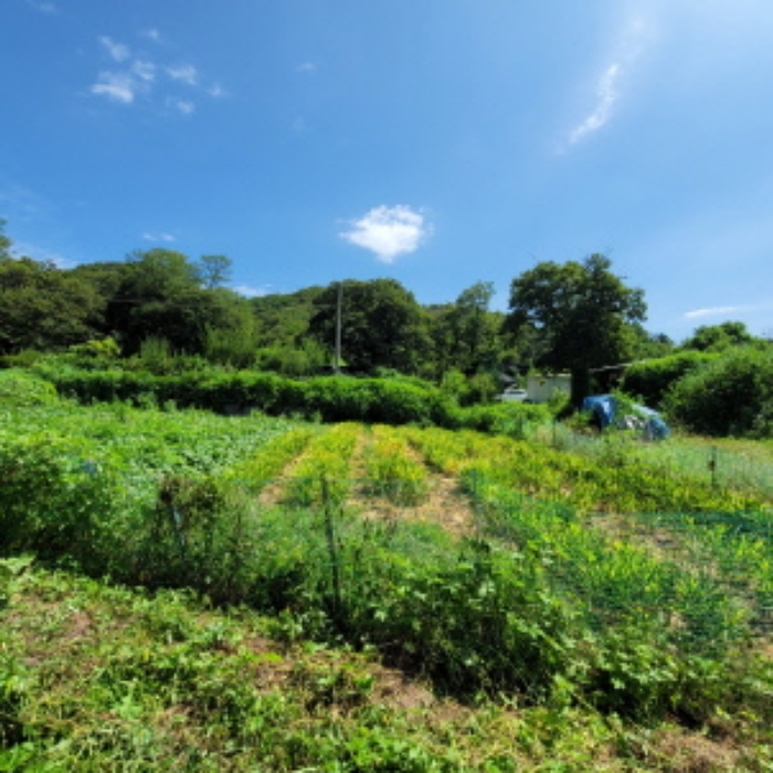 목록1 토지 전경