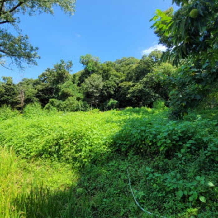 목록5 토지 전경