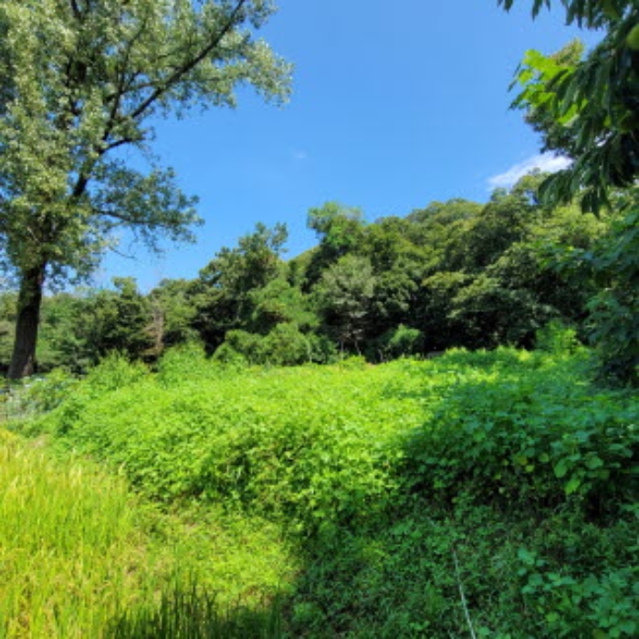 목록5 토지 전경