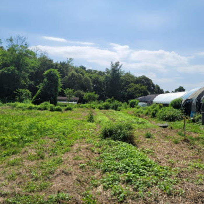 목록10 토지 전경