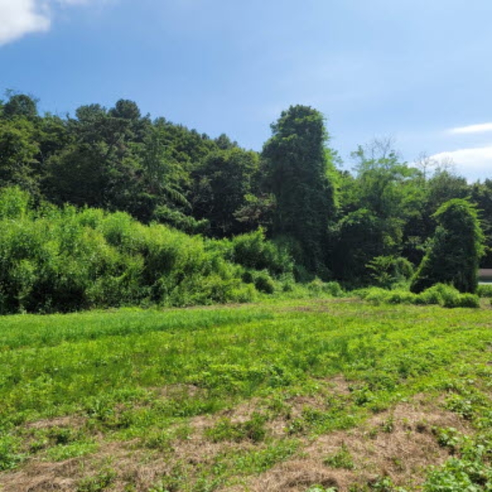 목록10 토지 전경