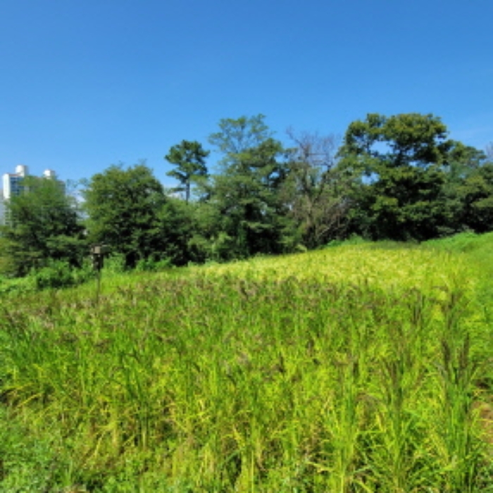 목록3 토지 전경