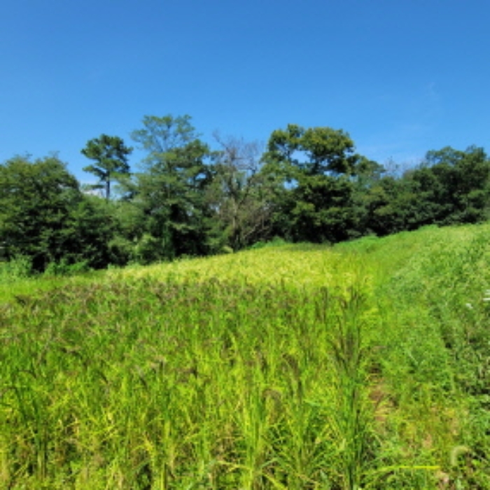 목록3 토지 전경