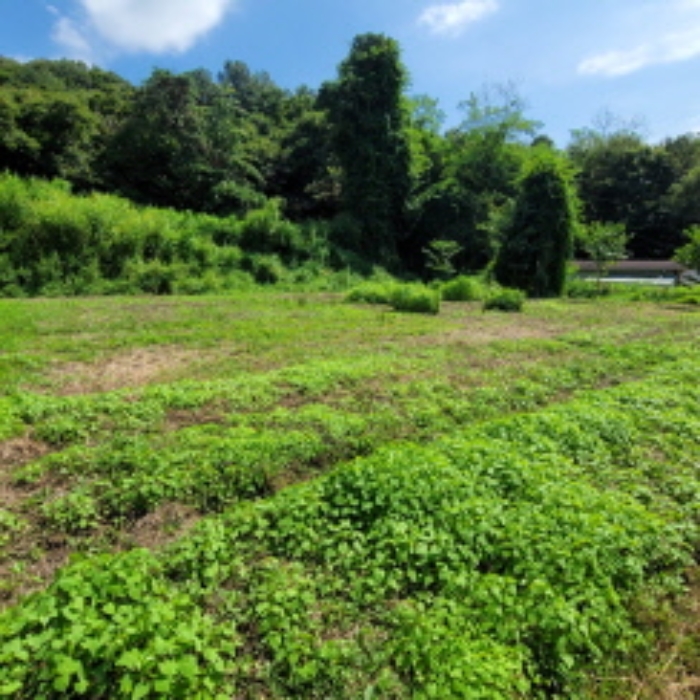 목록8 토지 전경