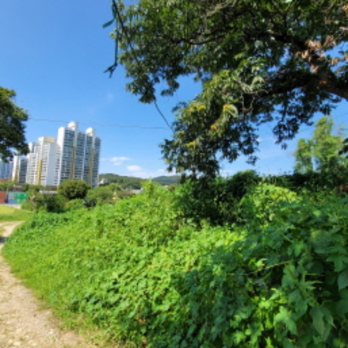 목록4 토지 전경