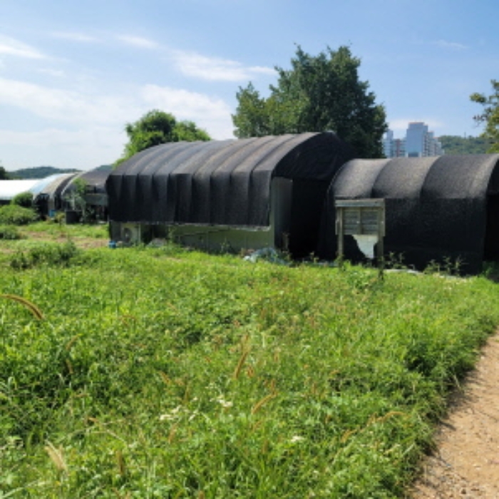 목록8 토지 및 제시외 건물 전경