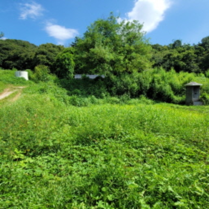 목록8 토지 전경