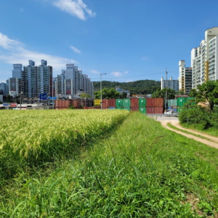 목록11 토지 전경