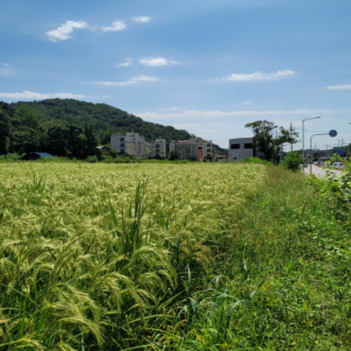 목록11 토지 전경