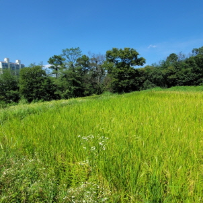 목록3 토지 전경