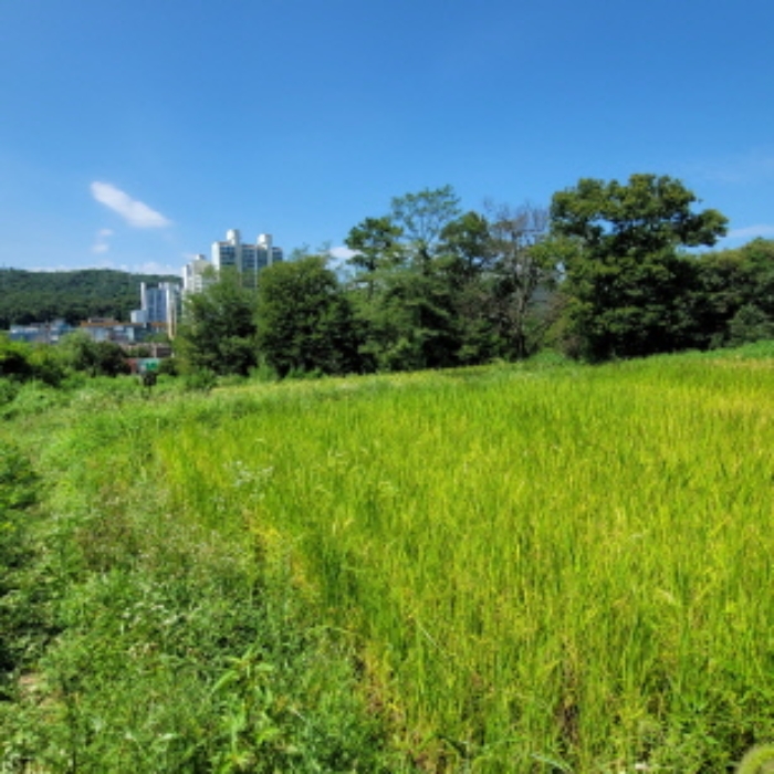 목록3 토지 전경