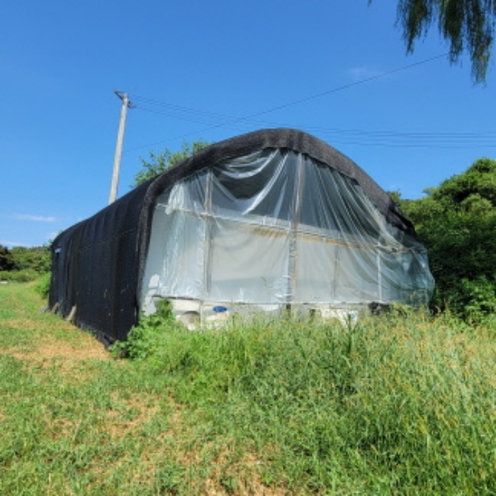 목록7 토지 및 제시외 건물 전경