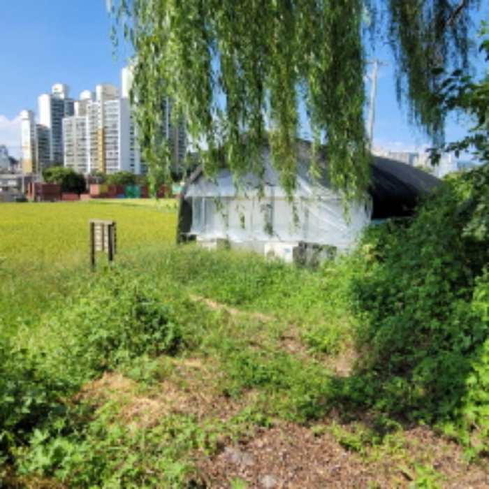 목록7 토지 및 제시외 건물 전경