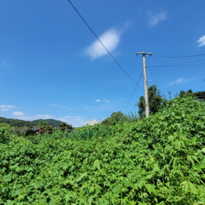 목록4 토지 전경