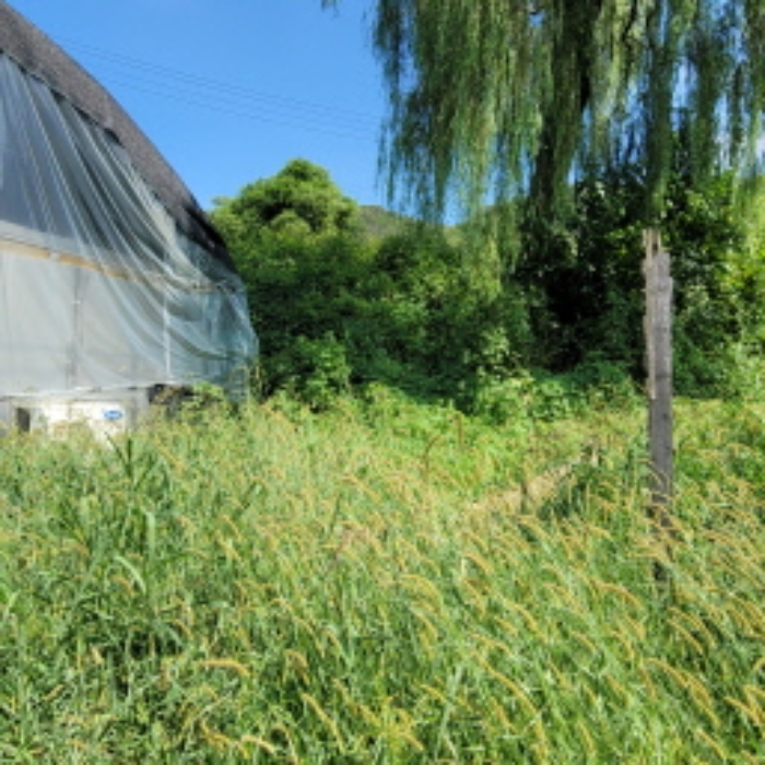 목록7 토지 및 제시외 건물 전경