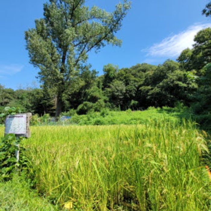 목록5 토지 전경