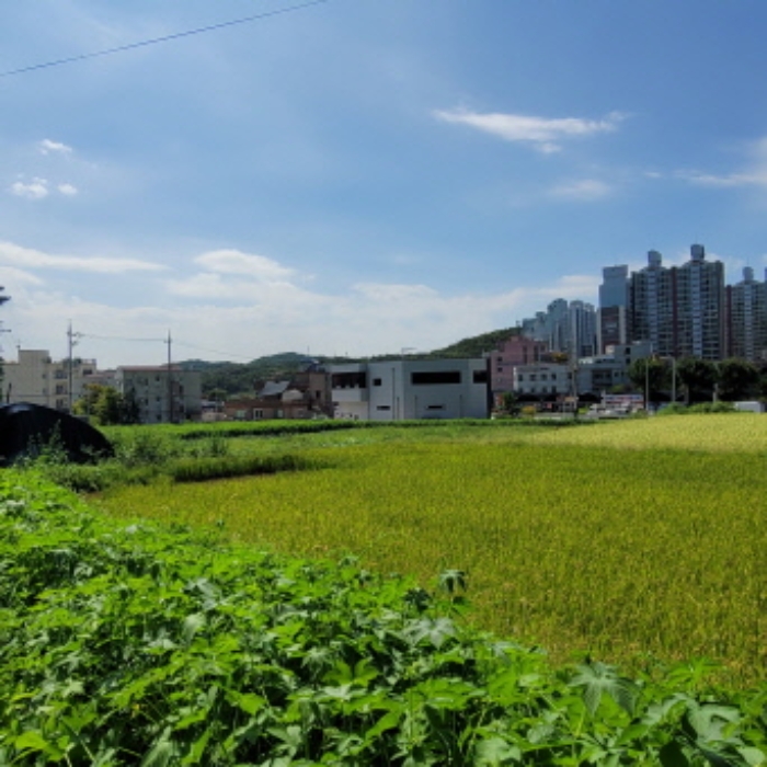 목록9 토지 전경