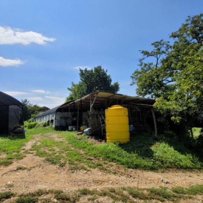 목록6 토지 및 제시외 건물 전경