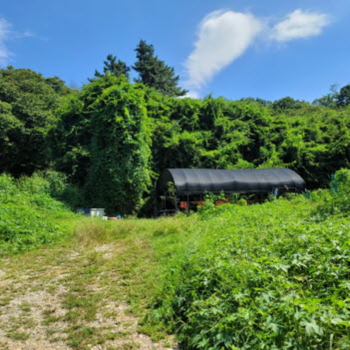 목록6 토지 전경