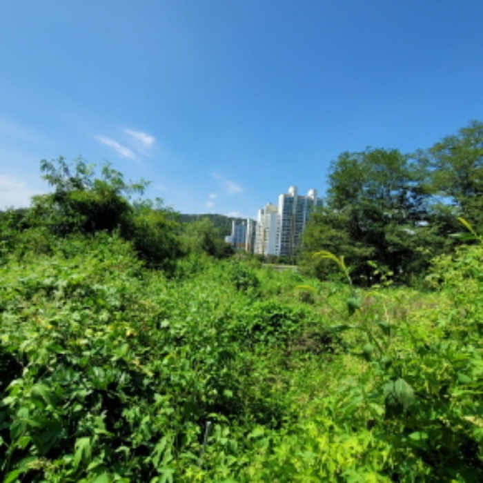 목록3 토지 전경