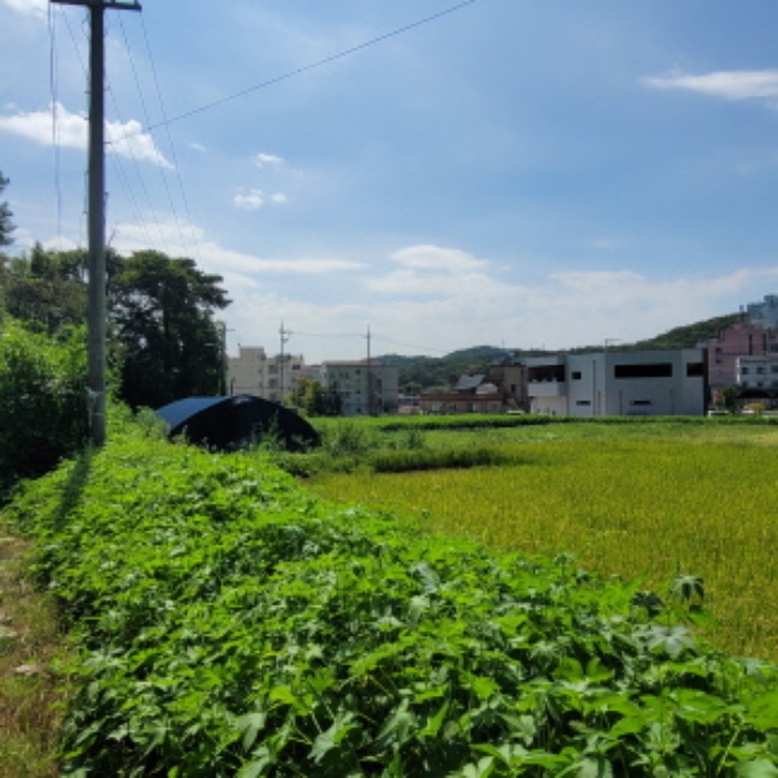 목록9 토지 전경