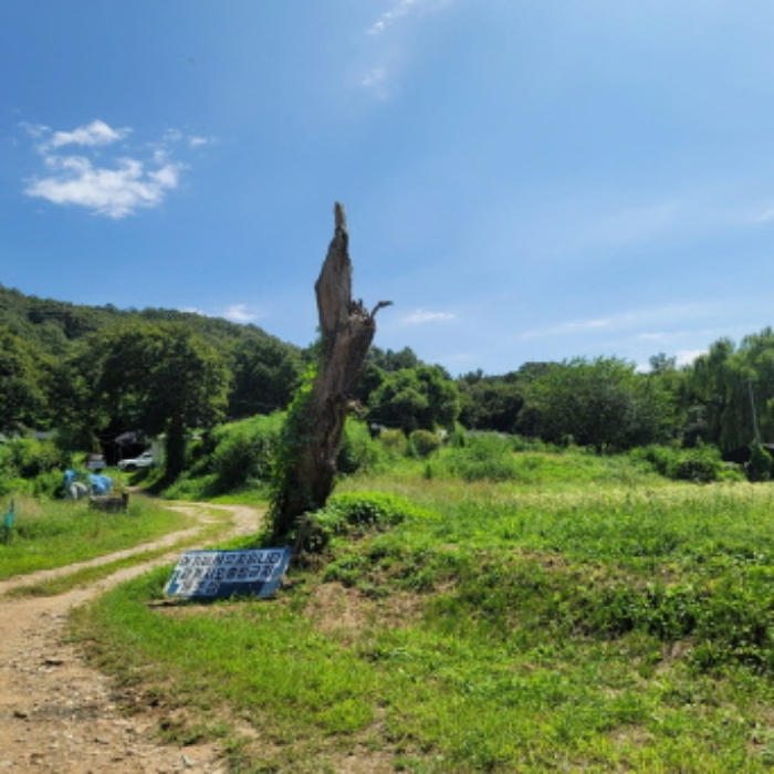 목록2 토지 전경