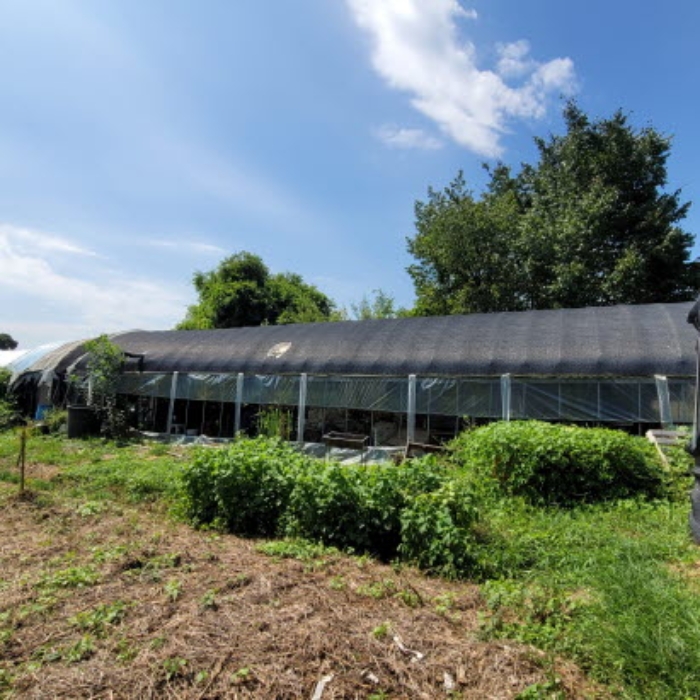 목록6 토지 및 제시외 건물 전경