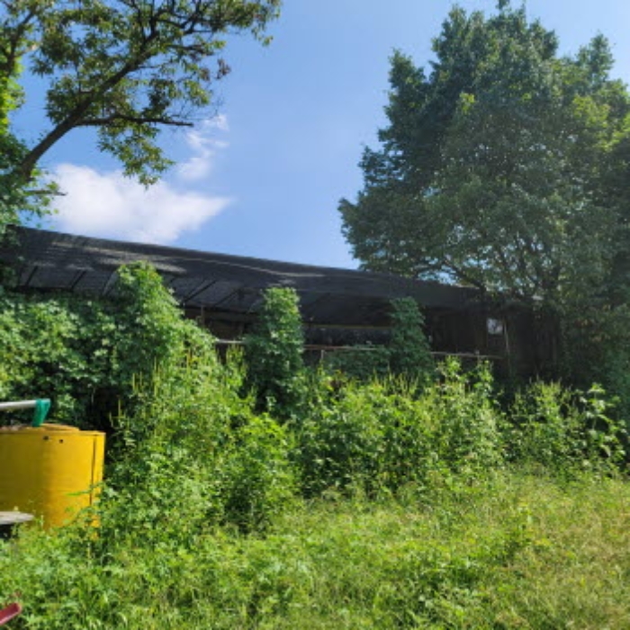 목록6 토지 및 제시외 건물 전경