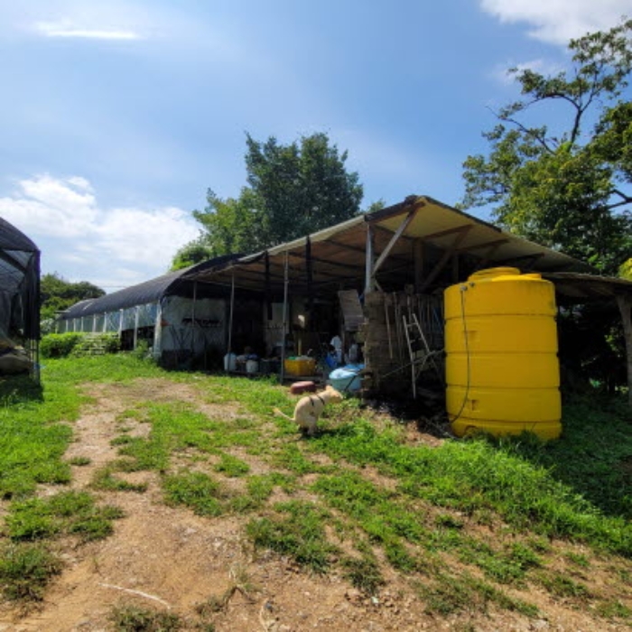 목록6 토지 및 제시외 건물 전경