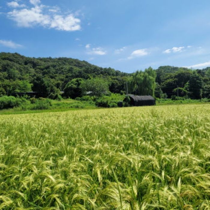 목록12 토지 전경