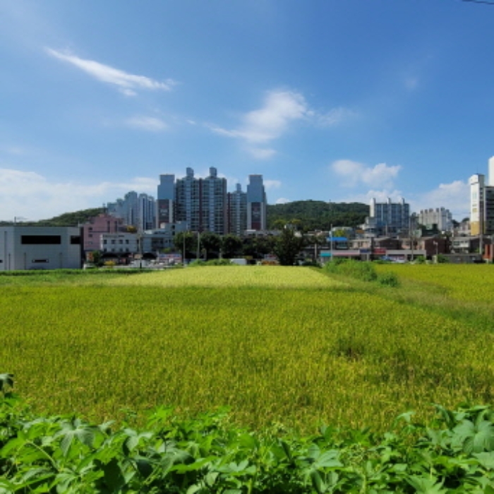 목록9 토지 전경