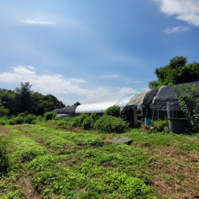 목록6 토지 및 제시외 건물 전경