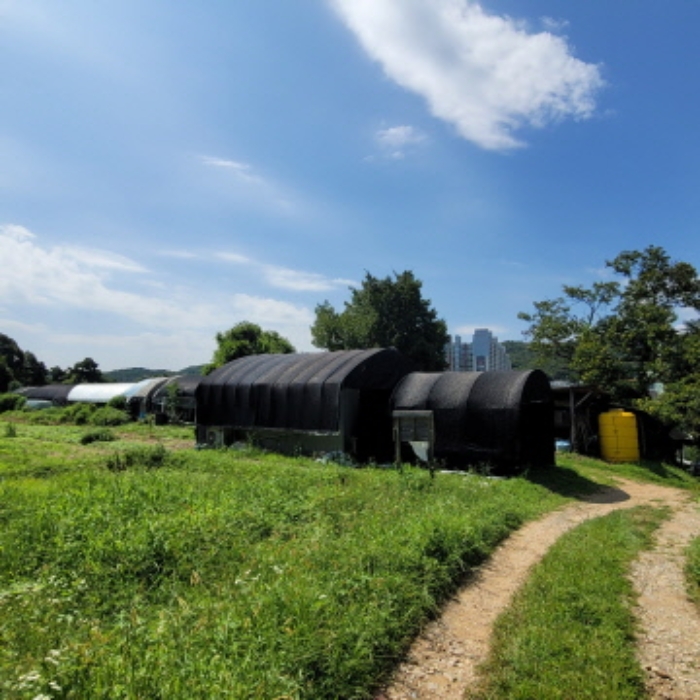 목록8 토지 및 제시외 건물 전경