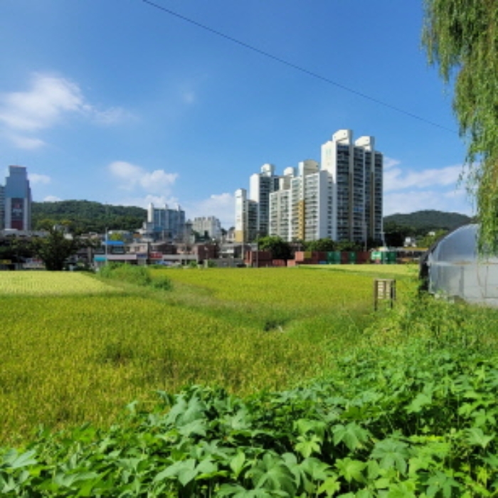 목록9 토지 전경