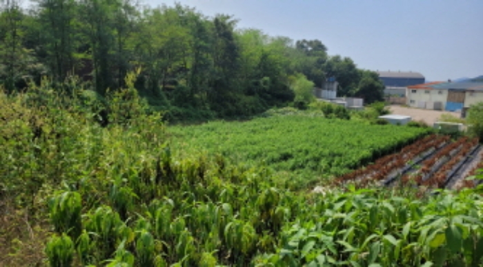 목록 2,3. 전경
