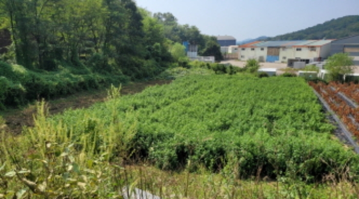 목록 2. 전경 1