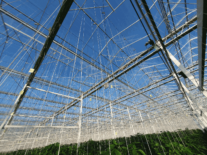 제시외 기계기구 ⓐ-3