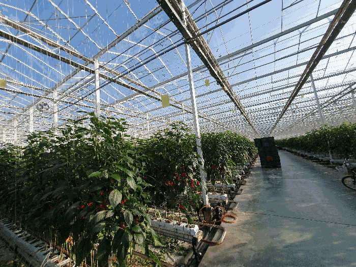 제시외 기계기구 ⓐ-1