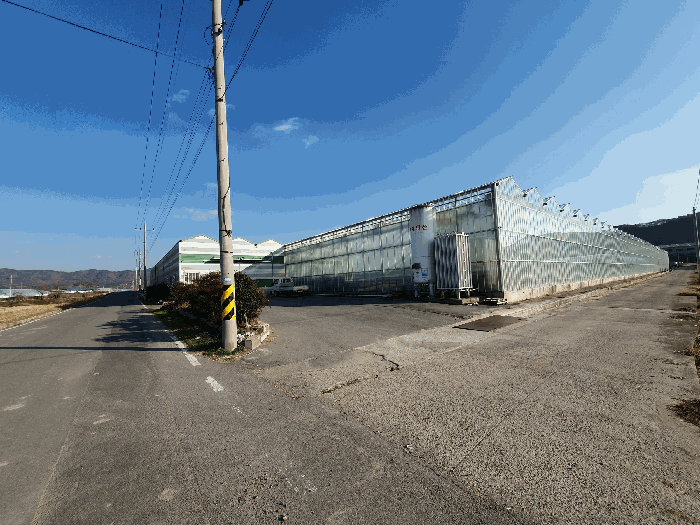 본건 북측 인접도로 전경