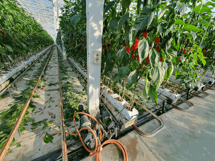 제시외 기계기구 ⓐ-5