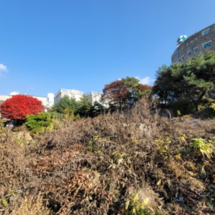 목록1 토지 전경