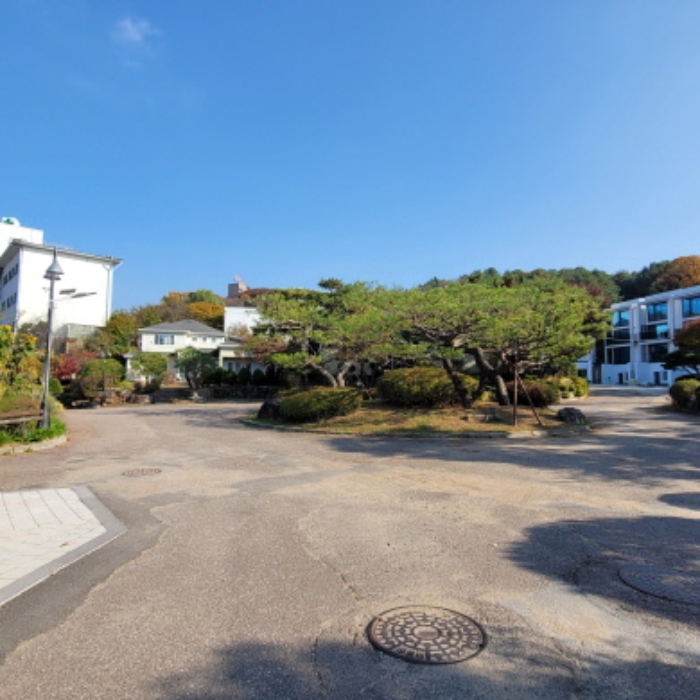 목록9 토지 및 제시외 정원수 전경