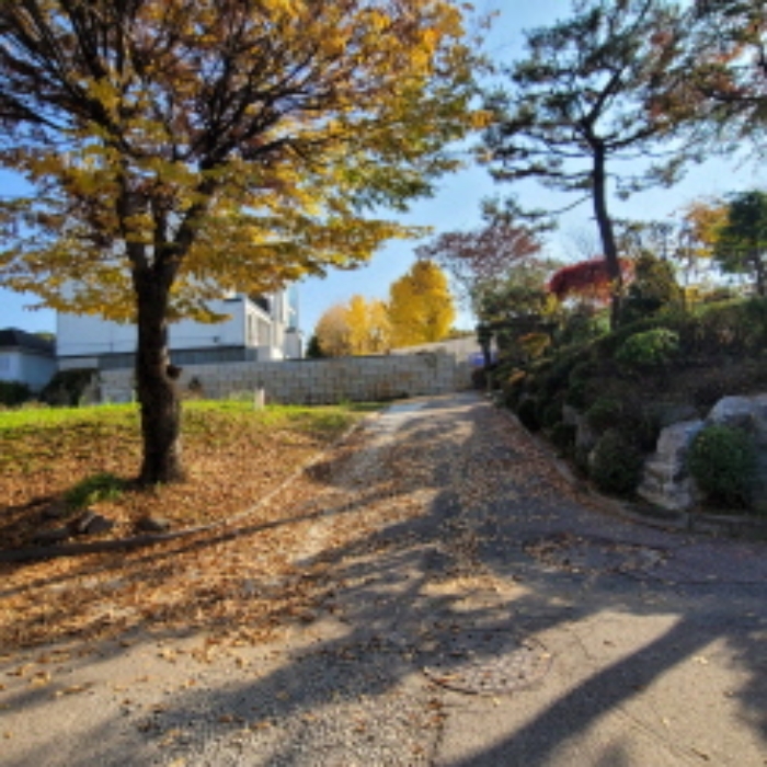 목록9 토지 전경