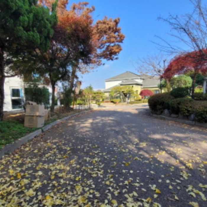 목록9 토지 전경