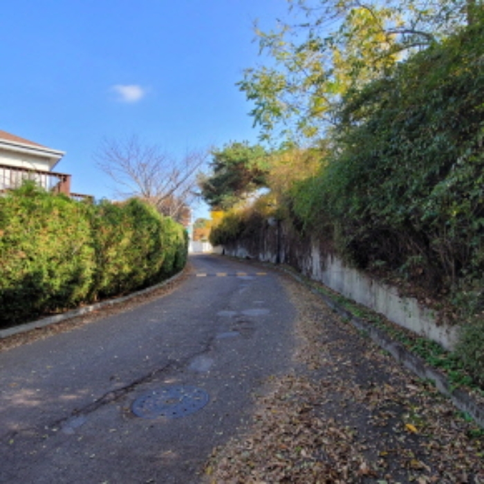 목록9 토지 전경