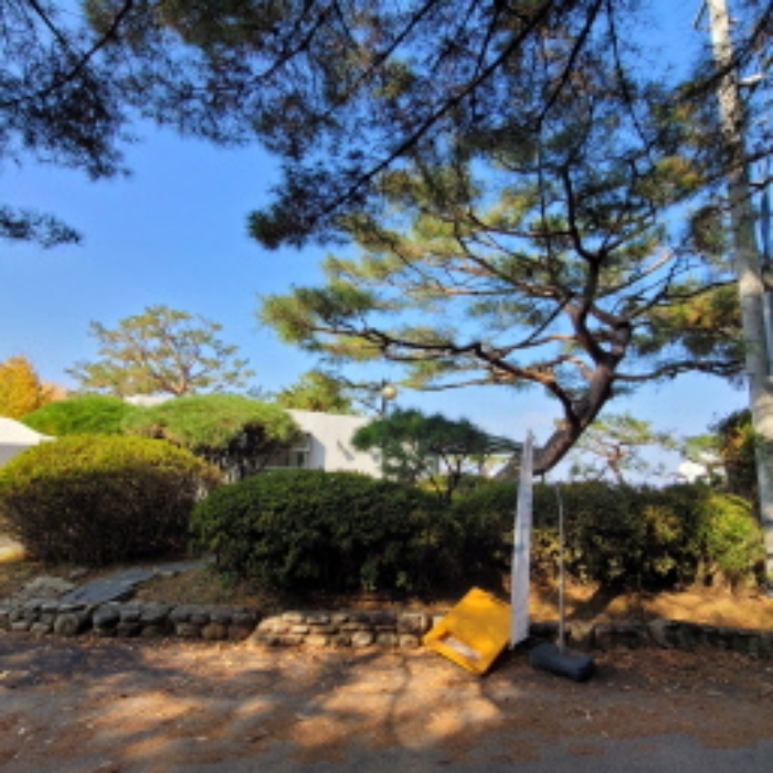 목록7 토지 및 제시외 정원수 전경