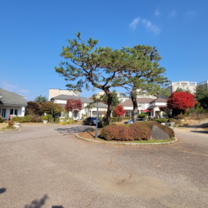 목록9 토지 및 제시외 정원수 전경