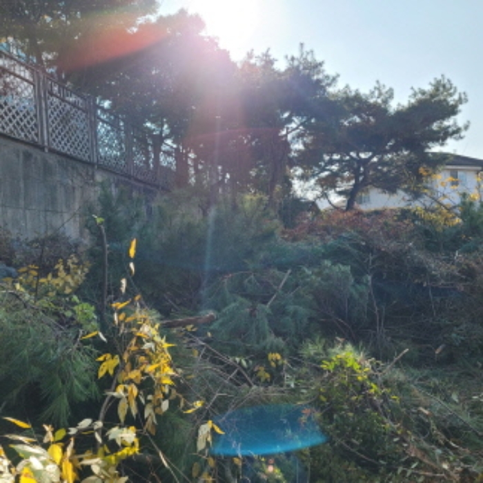 목록1 토지 전경