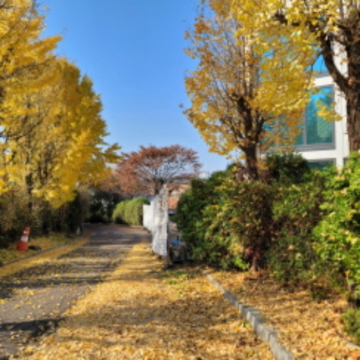 목록8 토지 전경